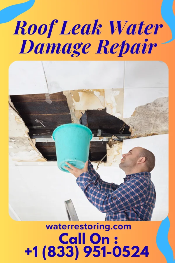 Roof Leak Water Damage Repair in Dudley, SD